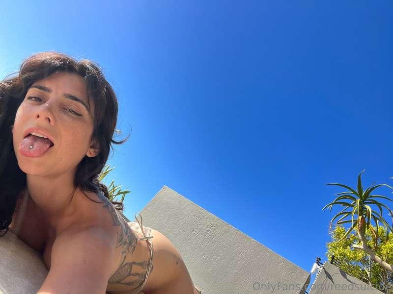 reedsuicide main image