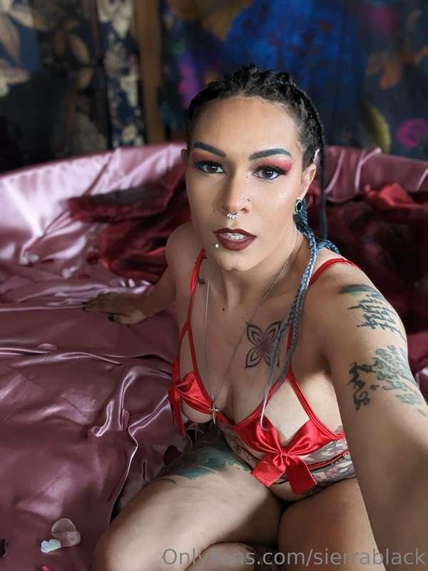 sierrablack image #12
