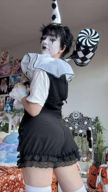 indigowhite image #122