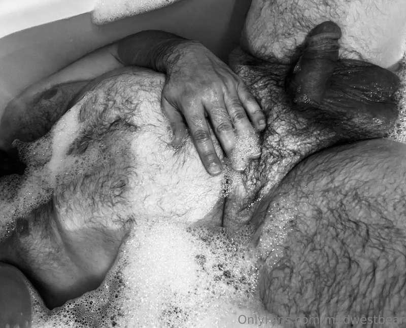 m1dwestbear image #2