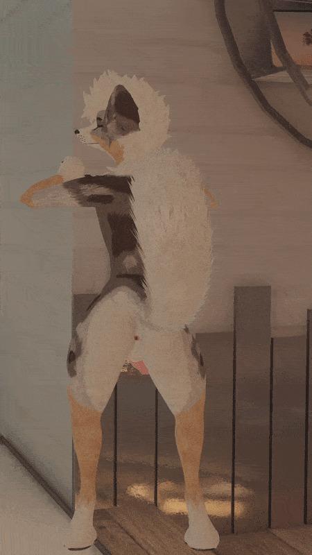 wilddoggyvr image #0