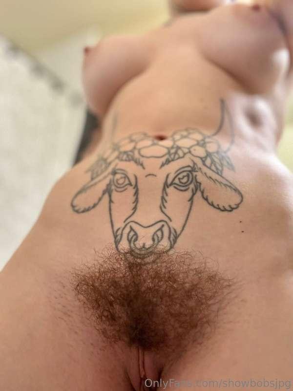 showbobsjpg image #0