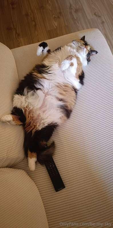 I have a heart attack 😵‍💫