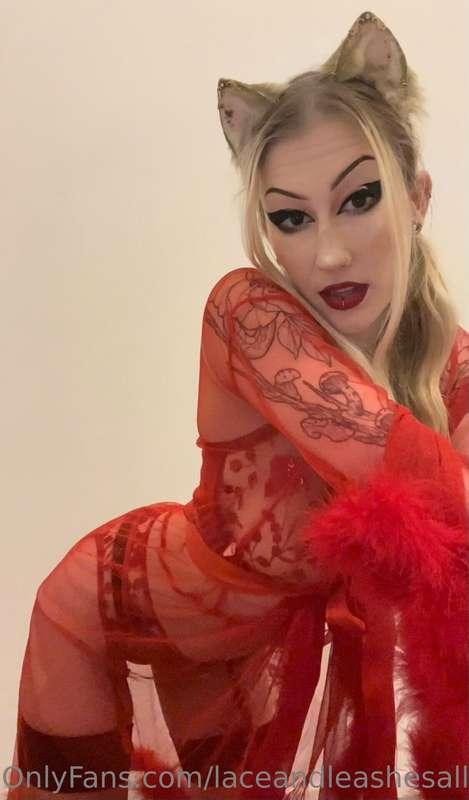 laceandleashesallin image #5