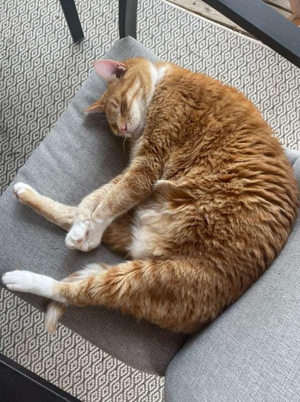 It's 67 degrees out right now and I wish I could take a nap ..