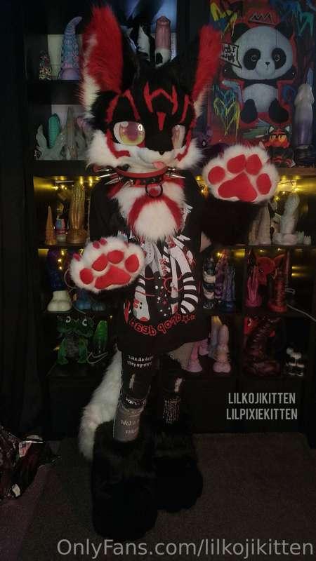 A wild Koji appears 🖤❤️