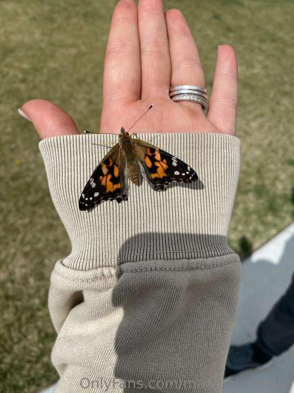 This little guy landed on my hand 😍