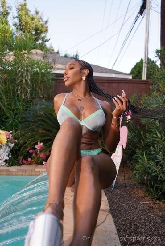 tsparrisxxx image #5