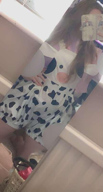 Cow! (Mid tiers+)