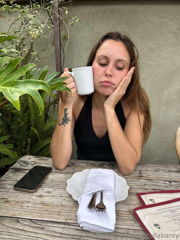 stellabarey image #0