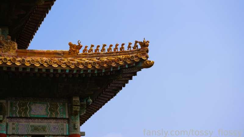 tossy_flossy image #3