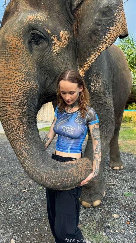 gingerxsweetness image #0
