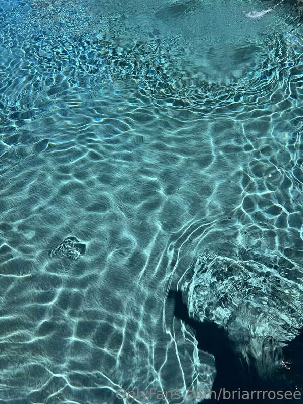 briarrrosee image #1