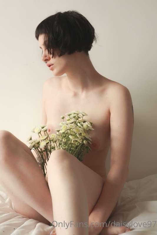 daisylove image #3