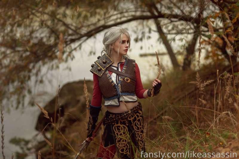 likeassassin image #9