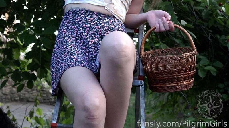 pilgrimsgirls image #5