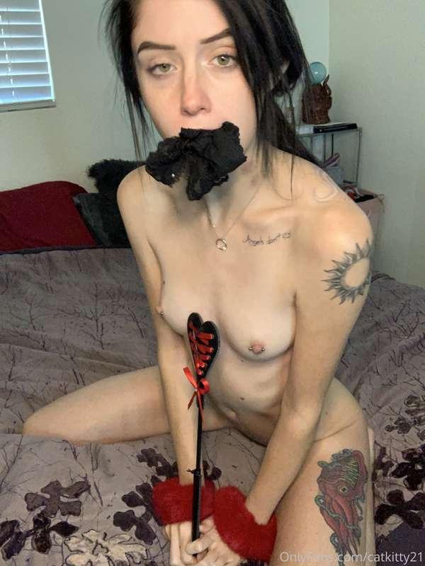 catkitty21 image #7