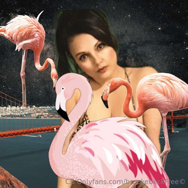 Wearing a bikini in this weather so I deserve tips 💵😆