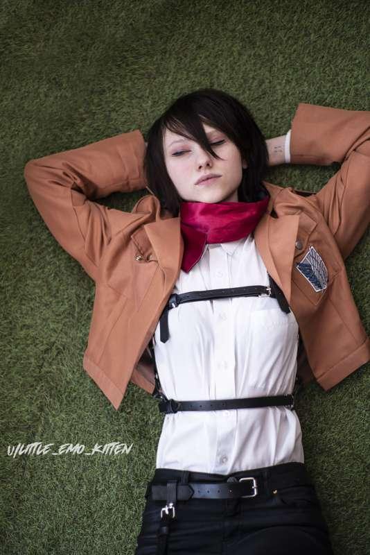 little_emo_kitten image #4