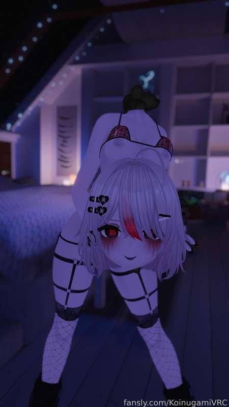 ashigamivr image #1