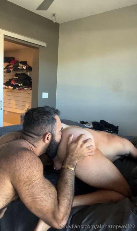 alphatopwolf22 image #21