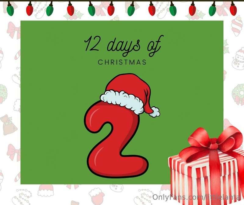 ***On the 2nd day of Christmas my true love gave to me*** Go..