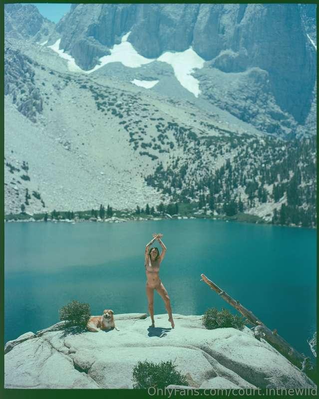 court.inthewild image #4