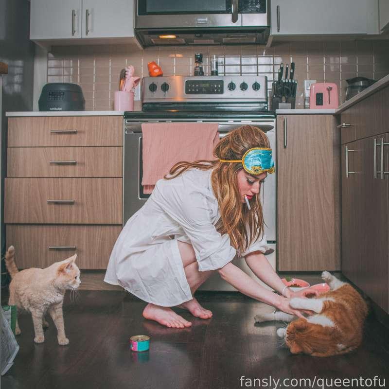 queentofu image #37