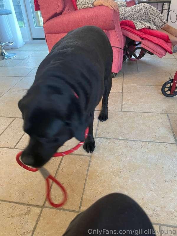 Poppy went to visit my mum today after she went shopping for..