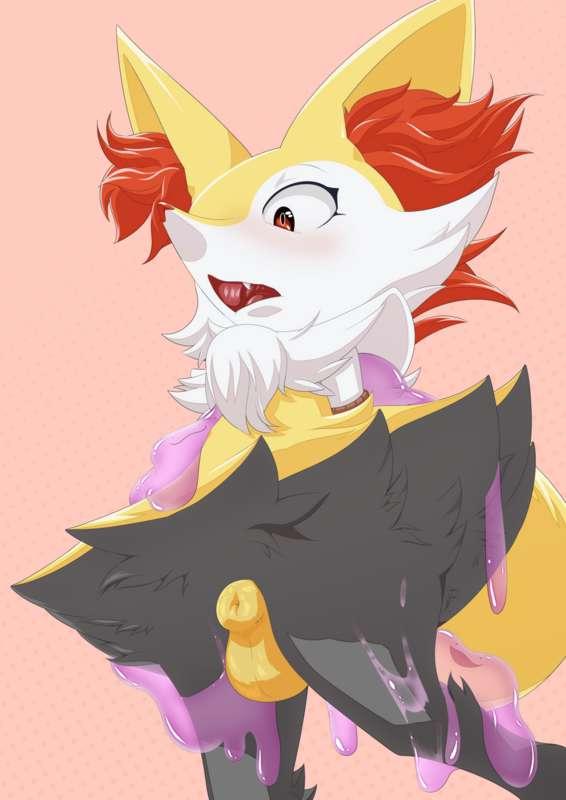 Braixen VS Ditto (2)