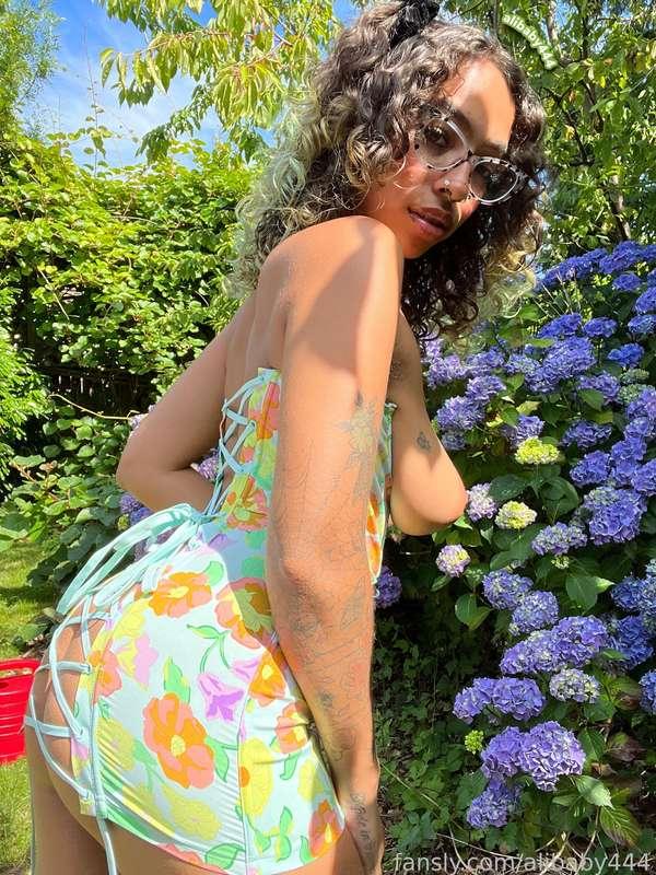 alibaby444 image #38