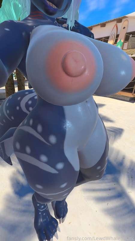 lewdwhaleshark image #2