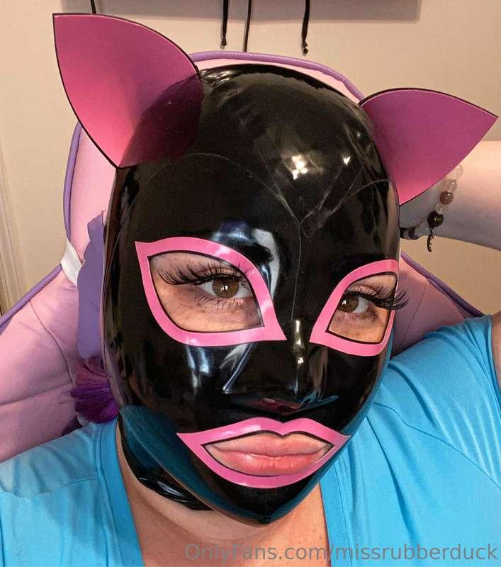 Meow 😻