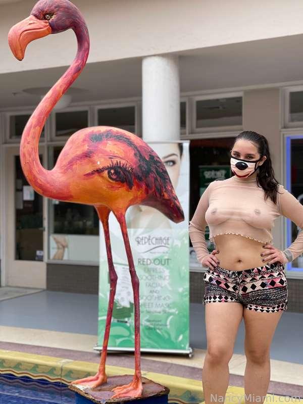 nancymiami image #8
