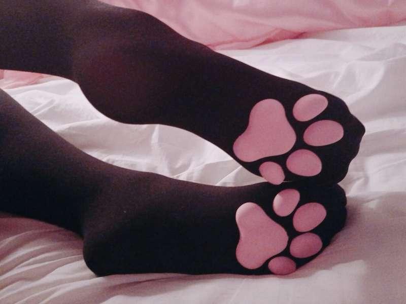 would you let mommy give you a pawjob with these ?? 
