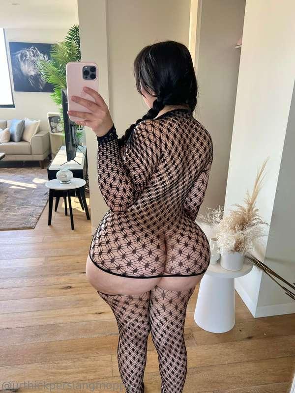 urthickpersiangfnoppv image #1