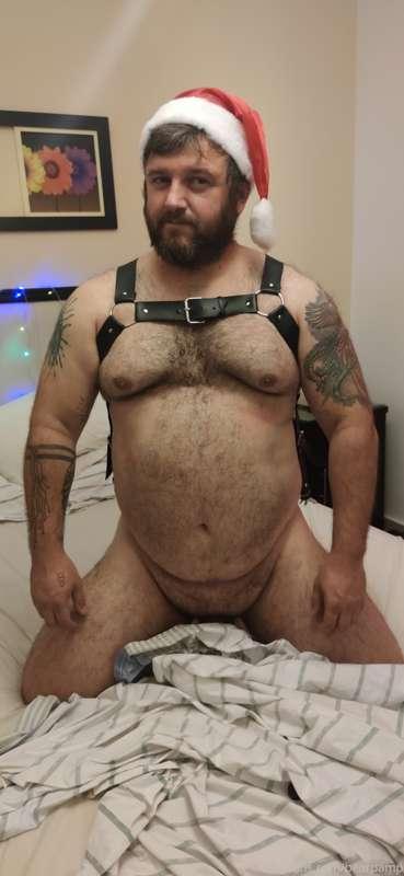 bearpamp image #2