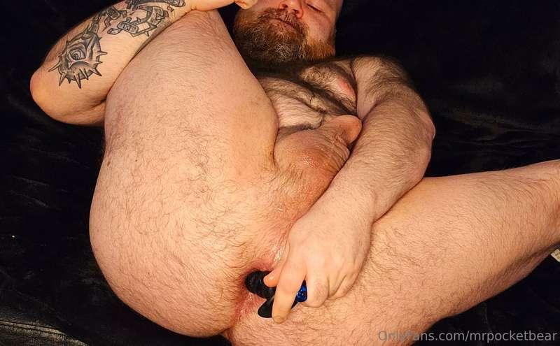 mrpocketbear image #5
