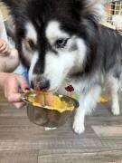 Kuda's 6th birthday party was such a success yesterday!!! Th..