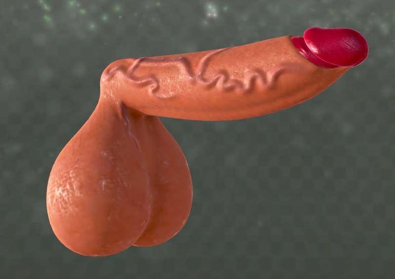 Made a dmitry's dick