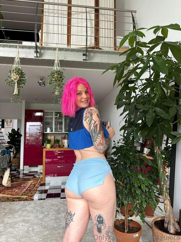 tweetylaura image #0