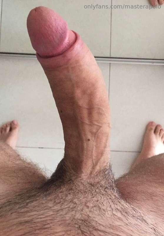 this is how my dick looks like without the bush

would u lik..