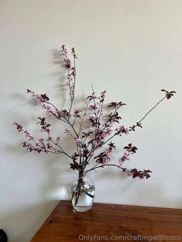 Spring is here!!!!!!Spring is here and I can’t stop staring ..