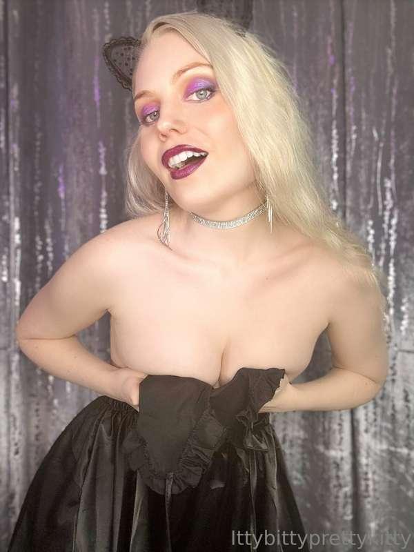 ittybittyprettykitty main image