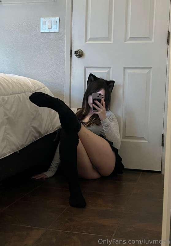 meowww :3