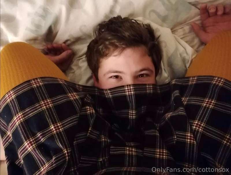 cottonsox image #3