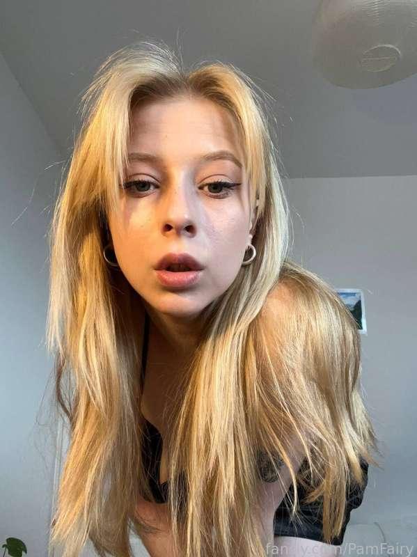 pamfairy image #0