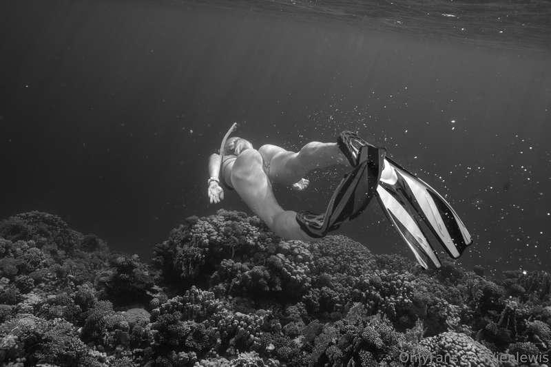 Where's the best place you've been snorkeling? 🪸🤿🐠