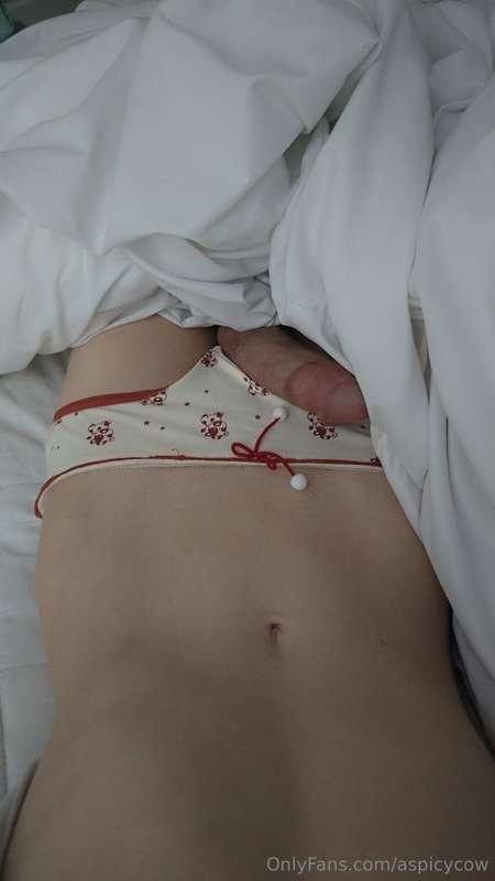 aspicycow image #4