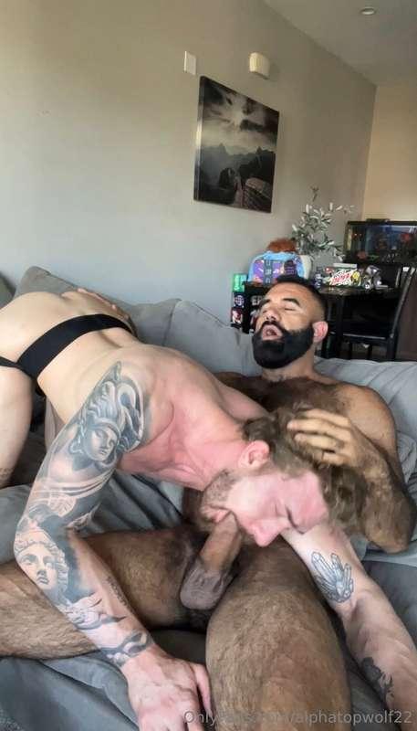 alphatopwolf22 image #3